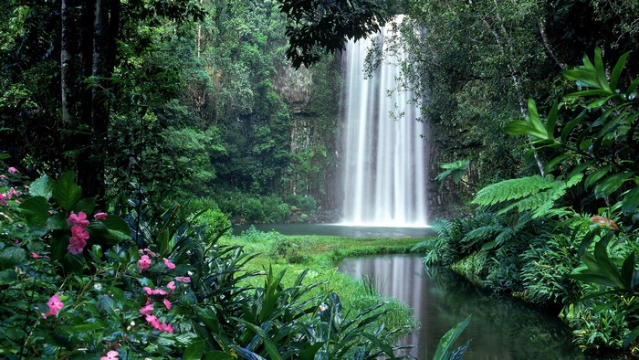 Waterfall in a dense jungle with pink flowers