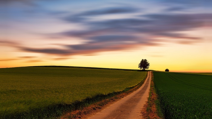 Path through fields at sunset with clouds