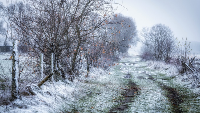 Winter path in a frosty landscape