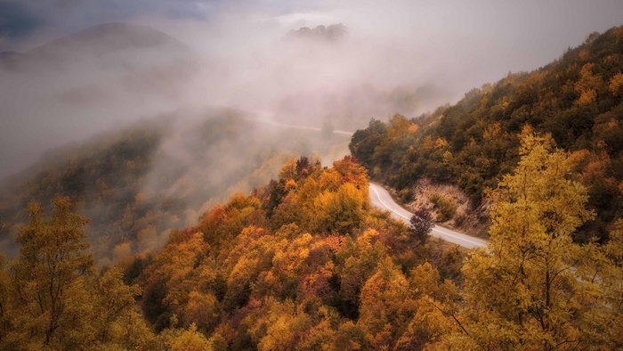 Mountain road through a foggy autumn forest