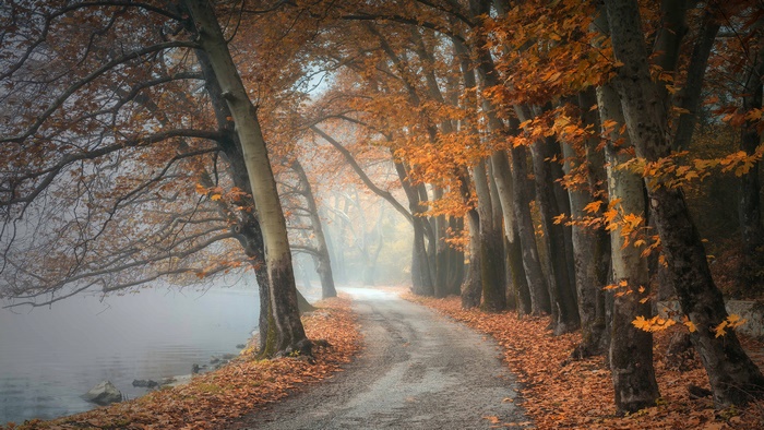 Autumn path by a foggy lake with fall foliage