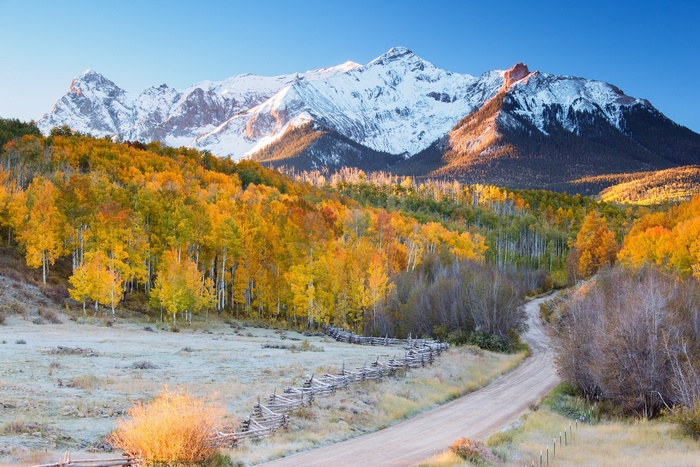 Autumn forest road with snow-capped mountains