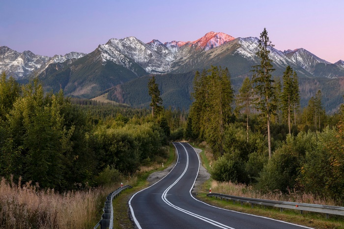 Winding road through a forest towards snow-capped mountains