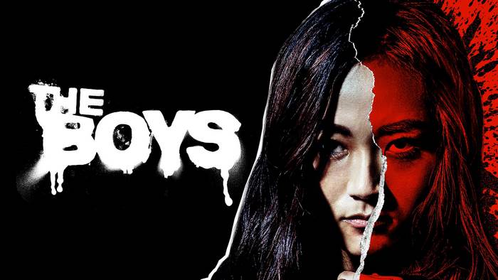 The Boys TV Show Poster