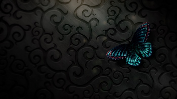 Butterfly on a dark textured background