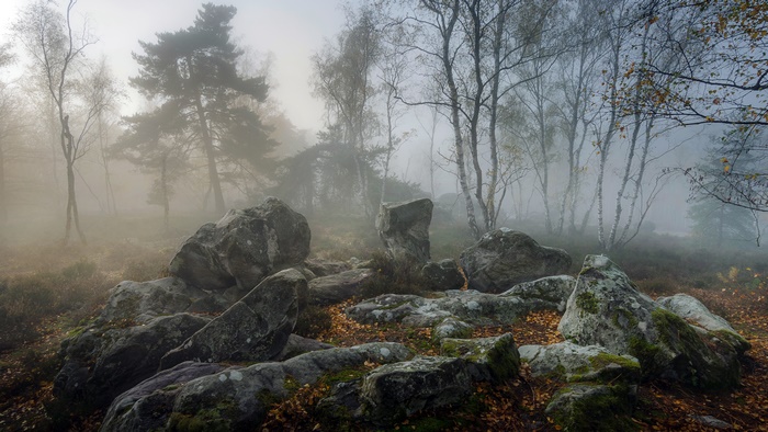 Misty forest with large rocks and trees