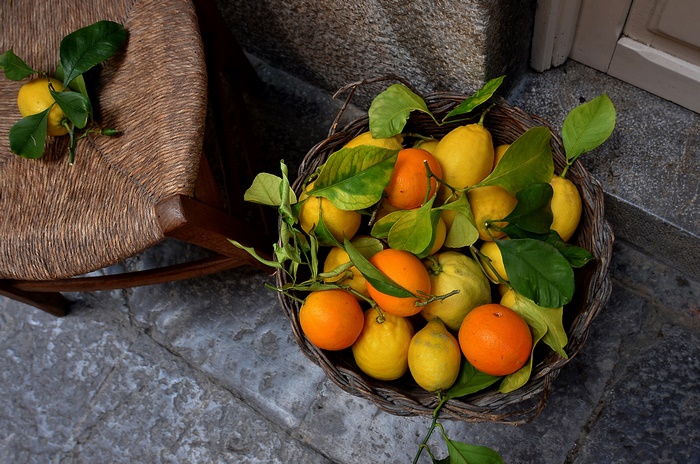 Basket of lemons and oranges with leaves