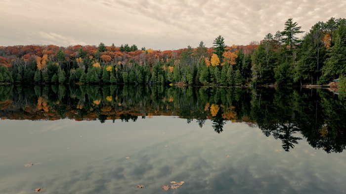 Lake Reflection of Autumn Forest