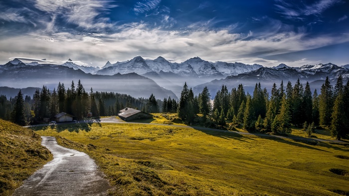 Mountain range with forest and a road