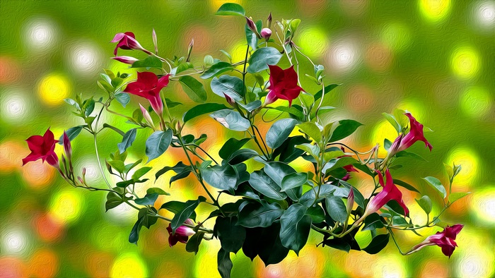 Artistic Oil Painting of Red Mandevilla Flowers