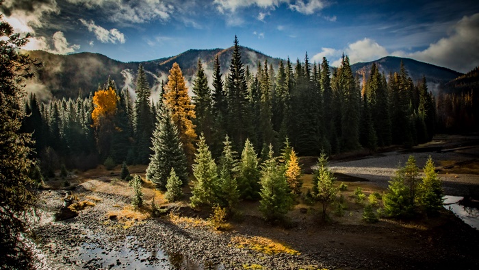 Forest landscape with mountains and river