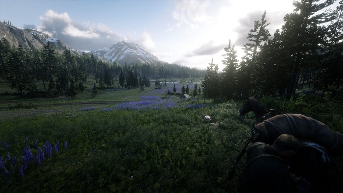 Red Dead Redemption 2 landscape with mountains and horse
