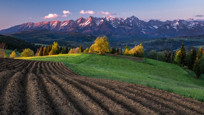 Tatra Mountains landscape with plowed field