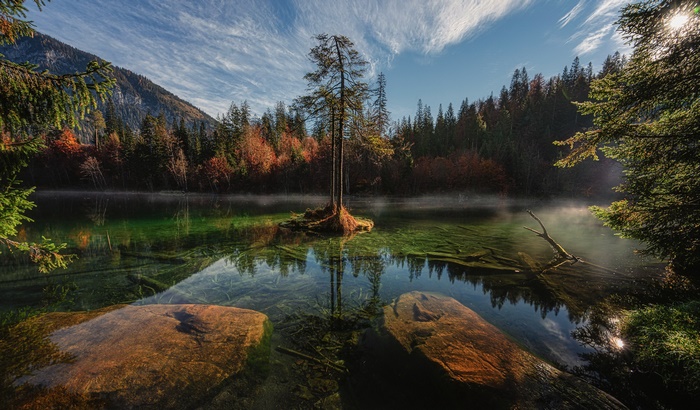 Autumn forest lake with lone tree and rocks