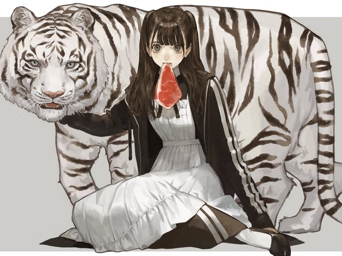 Girl with a piece of meat and a white tiger