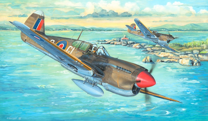 Curtiss P-40 Warhawk aircraft flying over water