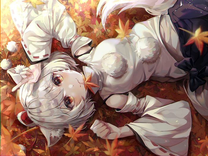 Momiji Inubashiri from Touhou lying on fall leaves