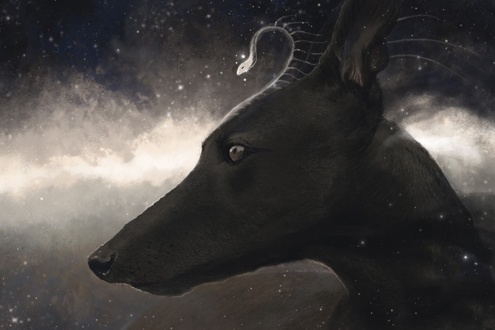 Black dog with snake on head against starry sky