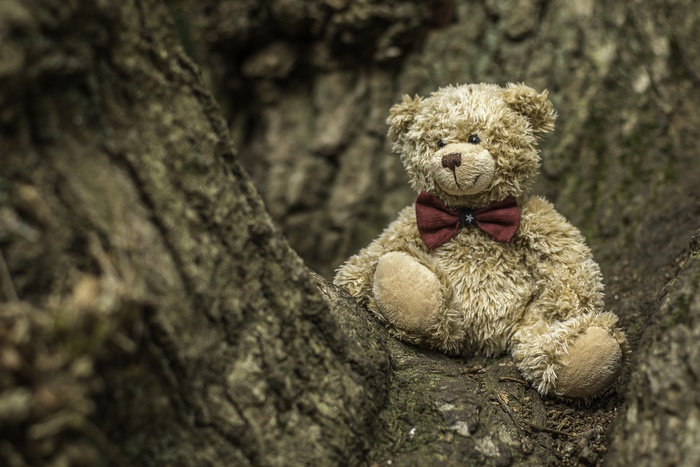 Teddy bear with a bow tie sitting on a tree
