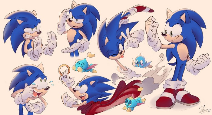 Sonic the Hedgehog and Chao characters