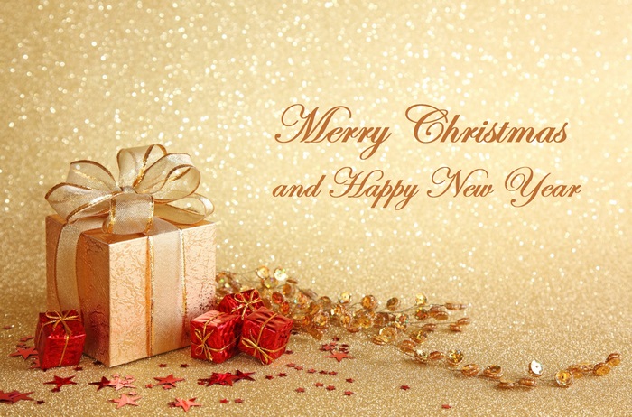 Merry Christmas and Happy New Year Gifts