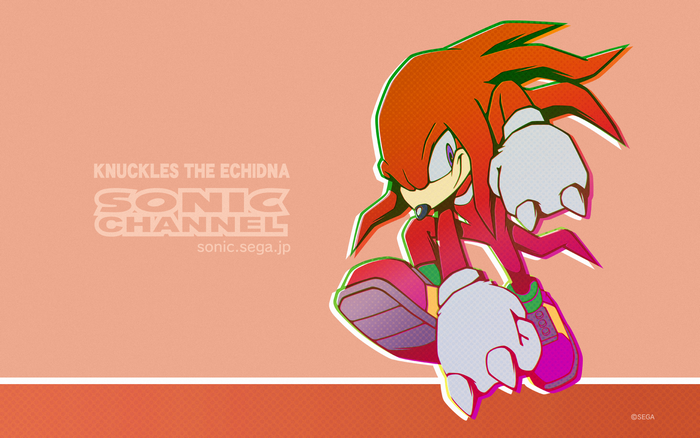 Knuckles the Echidna from Sonic Channel