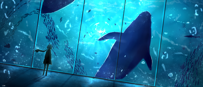 Girl watches whales and fish in aquarium