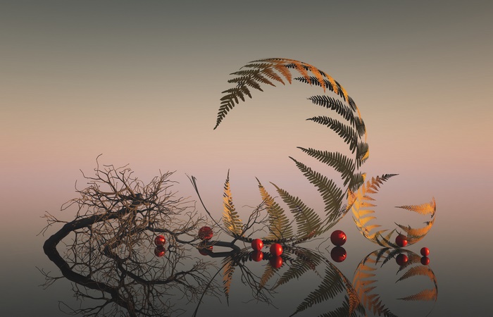 Still life with fern, branches, and red berries