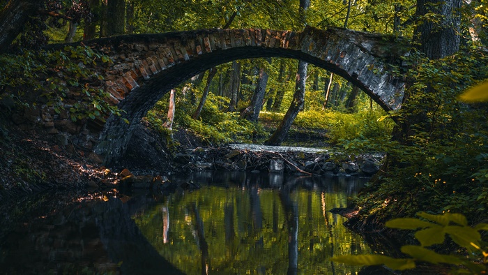 Stone bridge over a forest pond with reflections