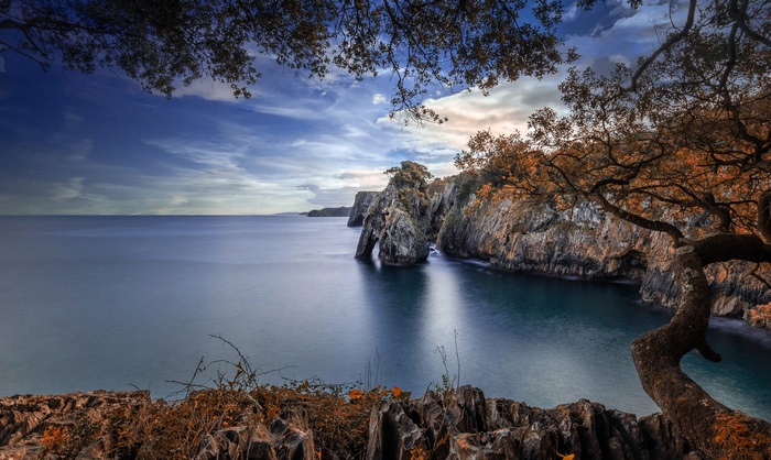 Rocky coast with sea arch and autumn trees