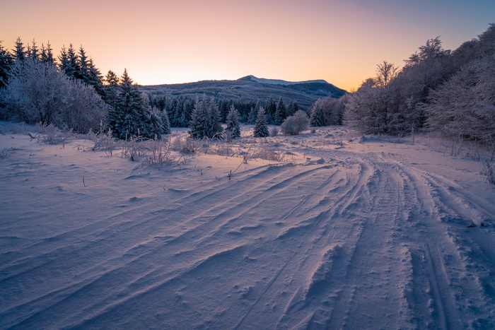 Winter Path Through Snowy Forest at Sunset