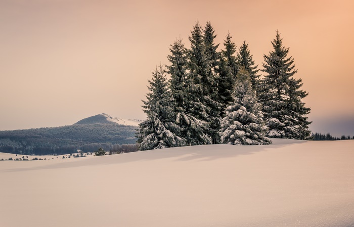 Winter landscape with snow-covered fir trees and mountains