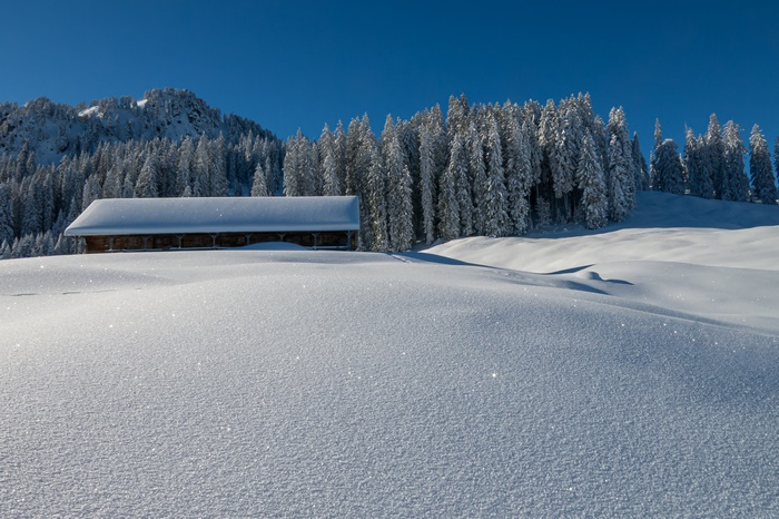 Barn in a snowy forest with mountains