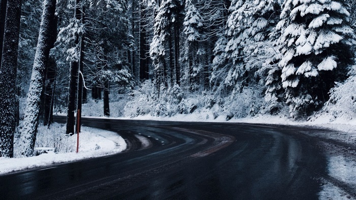 Winding Road Through Snowy Forest