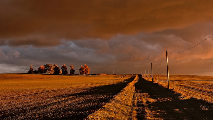 Path through a field at sunset with storm clouds