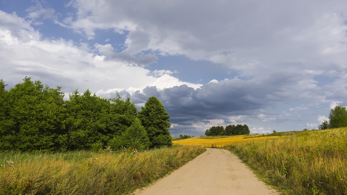 Dirt road through grassy fields under cloudy sky
