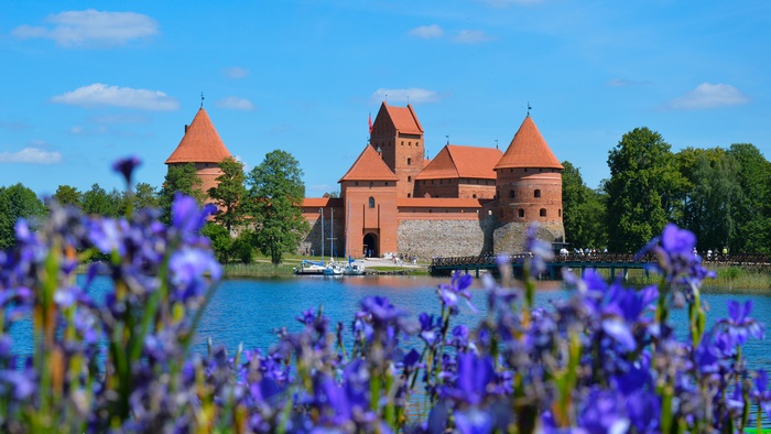 Trakai Island Castle with Flowers and Bridge in Lithuania