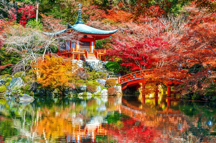 Japanese Temple and Bridge in Autumn