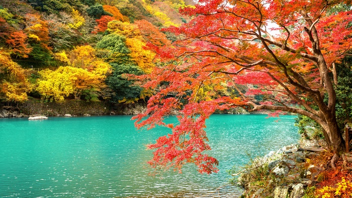 Arashiyama Park Kyoto Japan 4K