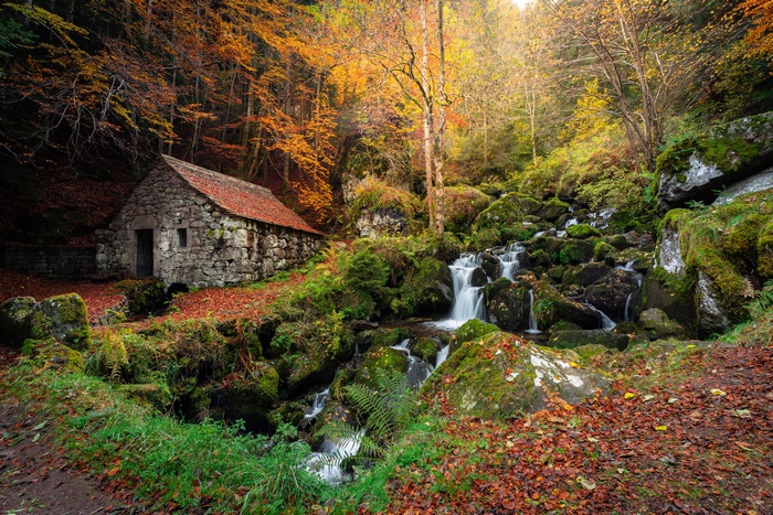 Stone Hut by Waterfall in Autumn Forest 4K