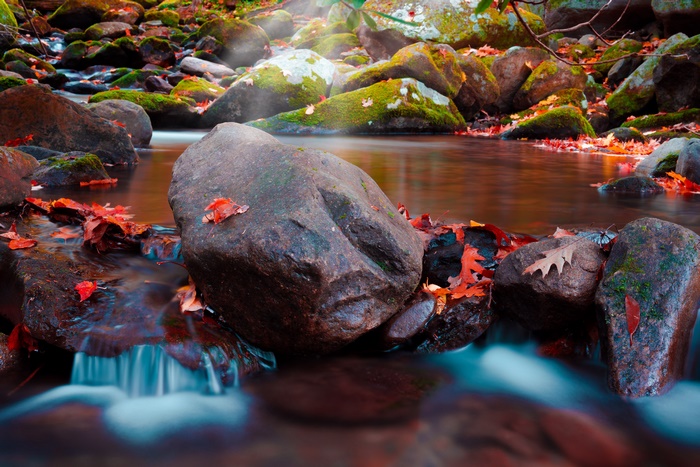 Stream with Rocks and Fall Leaves