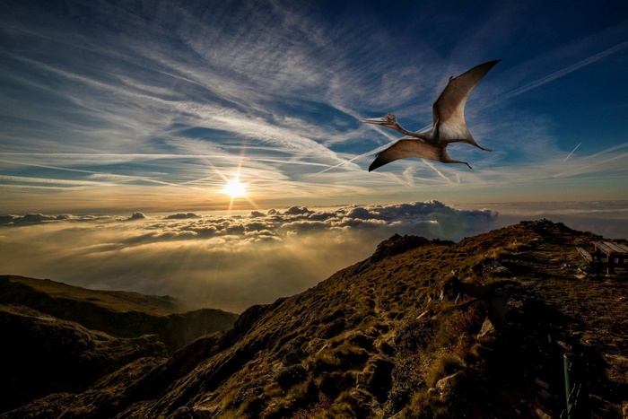 Pterodactyl flying over mountains at sunset