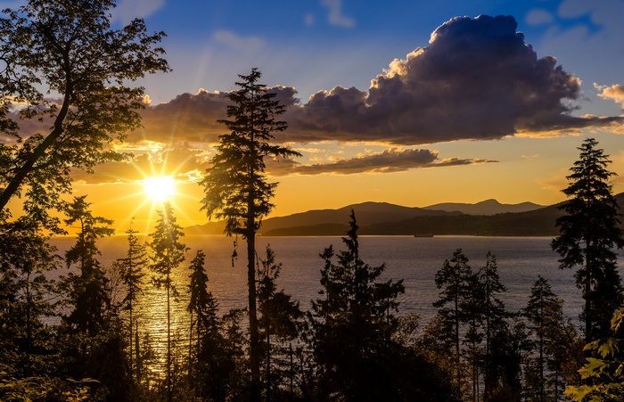 Sunset over the bay with trees in silhouette