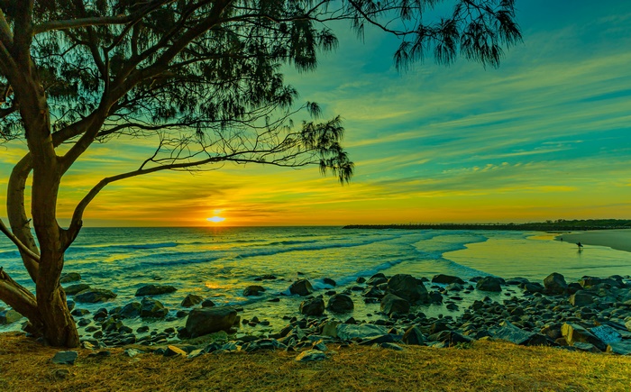 Sunset over the ocean with a tree and rocks