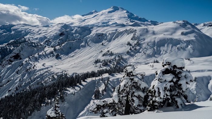 Snowy Mountains and Forest Landscape 4K