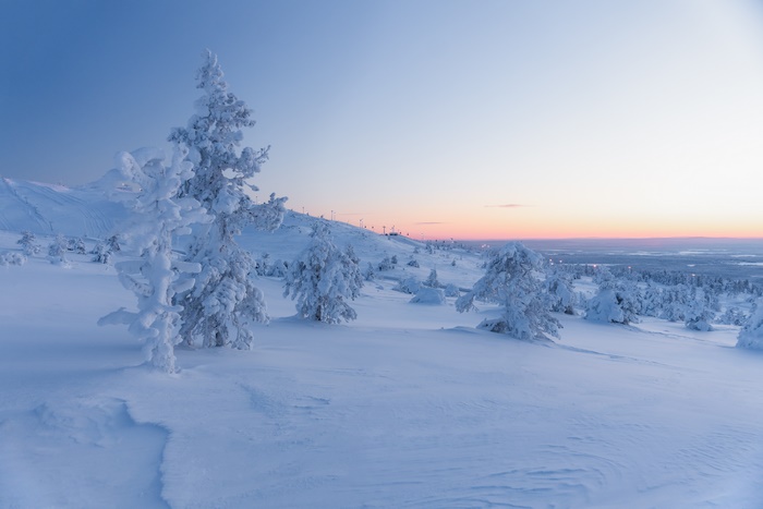 Snowy forest landscape at sunrise
