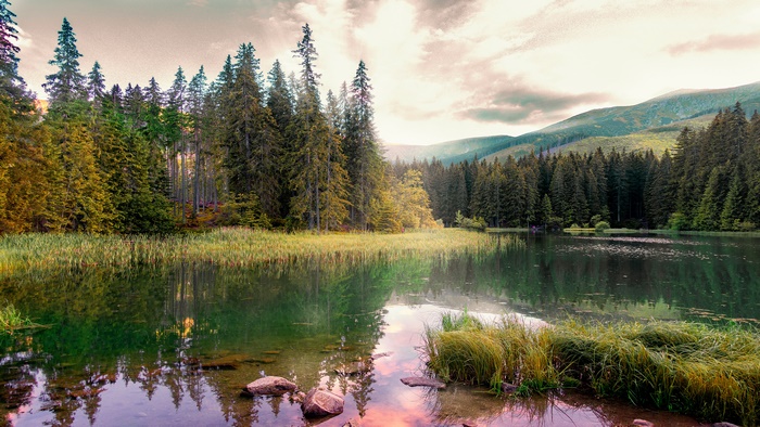 Lake and Forest Reflection Landscape 4K