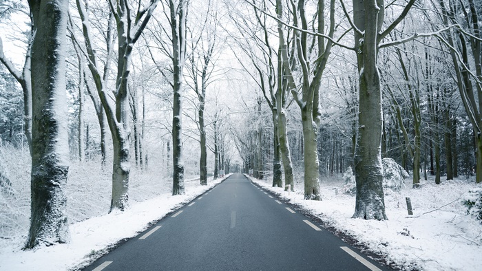Road through a snowy forest in winter