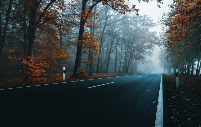 Road through a foggy forest in autumn