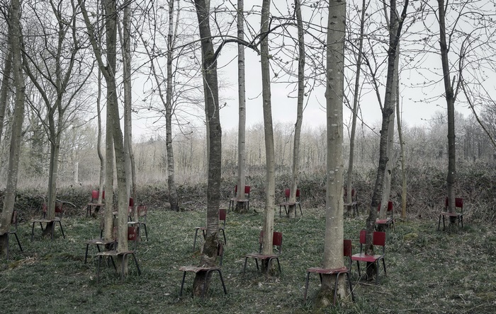 Chairs around trees in a forest